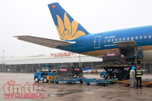 Bão Hải Tăng khiến Vietnam Airlines phải dừng 6 chuyến bay đến Đài Loan ảnh 1